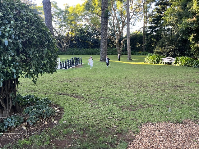 IMG 5372 Delightful Kids