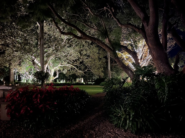 IMG 5411 Evening Gardens