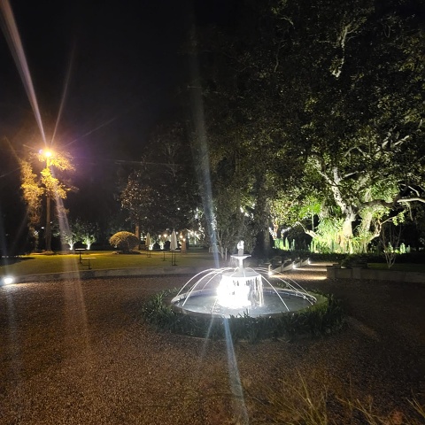 WhatsApp Image 2025-06-06 At 20.55.20