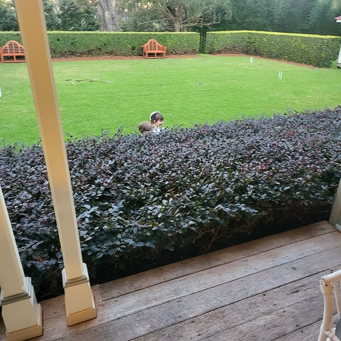 WhatsApp Image 2025-06-06 At 20.55.35 (2)