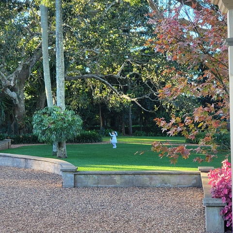 WhatsApp Image 2025-06-06 At 20.55.37 (2)