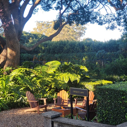 WhatsApp Image 2025-06-06 At 20.55.38 (2)