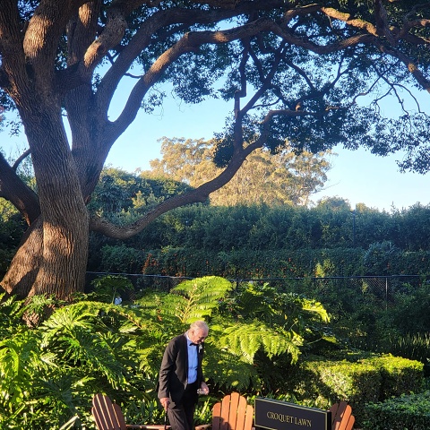 WhatsApp Image 2025-06-06 At 20.55.38