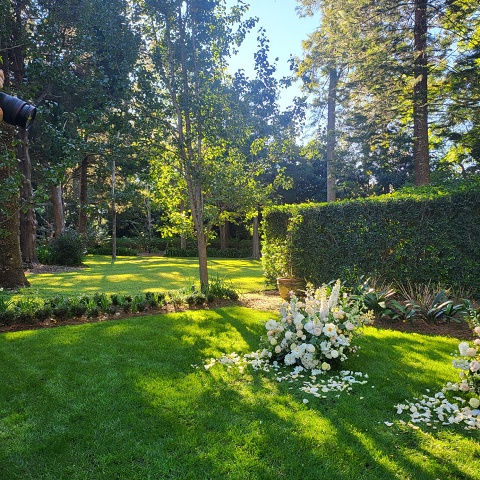 WhatsApp Image 2025-06-06 At 20.55.41 (1)